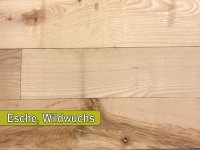 Woodline Esche Wildwuchs, geschliffen, 4-gefast, 2,0 x 13...